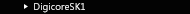 ǥ SK-1
